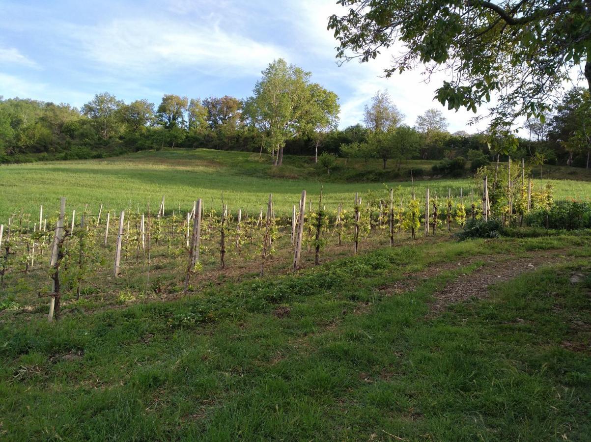 Agriturismo Il Melo Valfabbrica Exterior foto